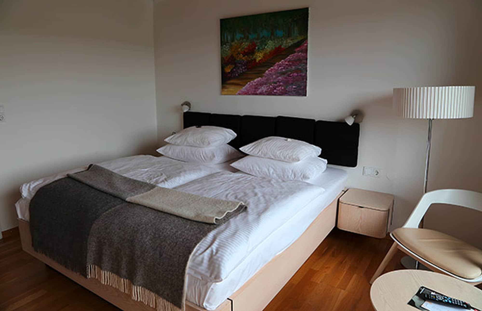 Hotel Njord ゴスラー エクステリア 写真
