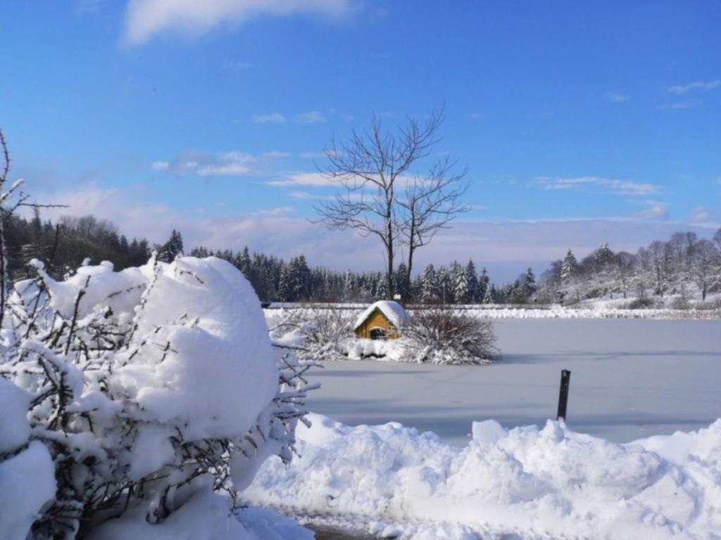Hotel Njord ゴスラー エクステリア 写真